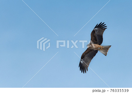 風蓮湖　冬景色 76335539