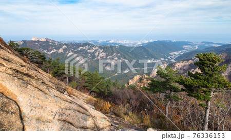 panoramic view of mountain slope with pine grove panoramic view of mountain slope with pine grove 76336153