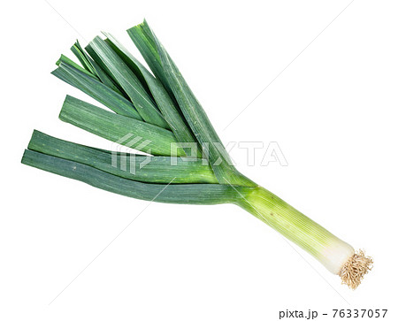 fresh leek with greens cutout on white 76337057