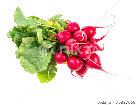 bundle of fresh red radish with greens cutout 76337059