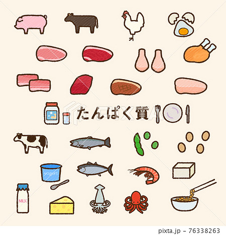 たんぱく質の食品のイラストセット 手書き風のイラスト素材