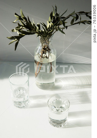 A glass vase with a green plant and two glasses of water on a white table. A glass vase with a green plant and two glasses of water on a white table. 76339006
