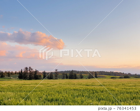 Beautifully lit cloudscape over Athalassa Park in Nicosia, Cyprus late in the afternoon. 76341453