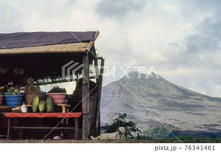 A dog sits near a make-shift hut exhibiting tropical fruit for sale set against Agung volcano of Bali. Retro 1993 film capture. 76341461