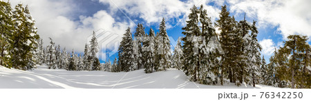 Panoramic View of Canadian Nature Landscape 76342250