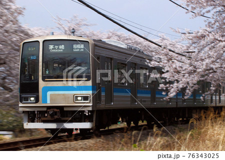桜と相模線205系（茅ケ崎⇔橋本） 76343025