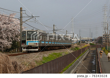 桜と相模線205系(茅ケ崎⇔橋本) 桜と相模線205系(茅ケ崎⇔橋本) 76343028