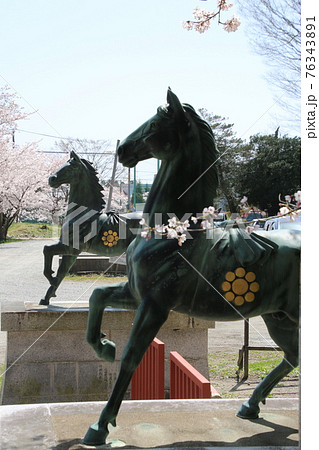 相馬中村神社（福島県・相馬市） 76343891