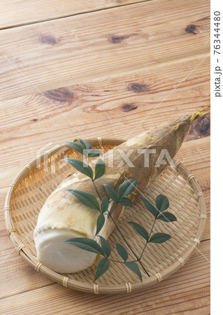 タケノコ タケノコ 76344480