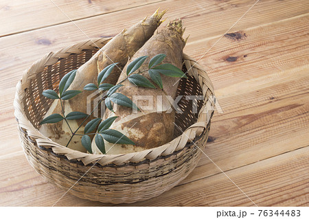 タケノコ 76344483