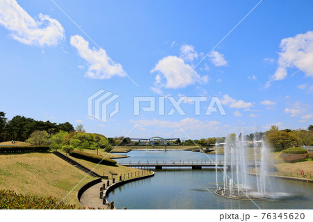 春のひたち海浜公園 茨城県ひたちなか市 春のひたち海浜公園 茨城県ひたちなか市 76345620