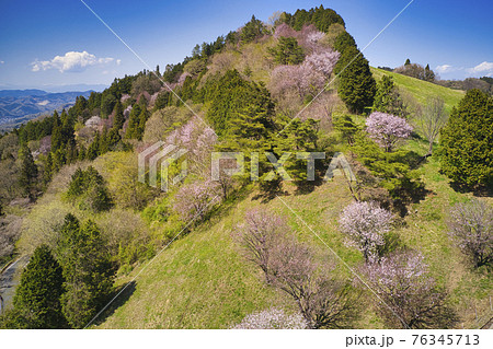 新緑の秩父高原牧場と桜の美しい眺め　埼玉県東秩父村（ドローンによる空撮） 76345713