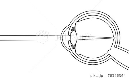 光と眼球の構造 イメージ図 のイラスト素材