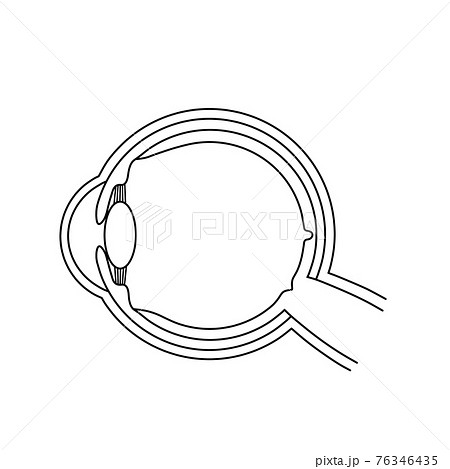 眼球の断面図 イメージ図 のイラスト素材