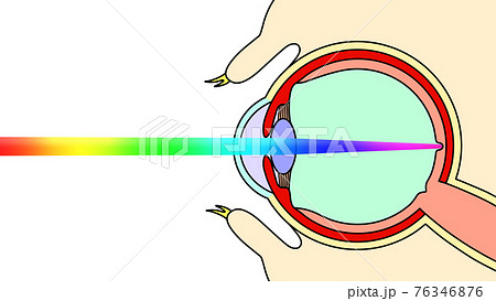 光と目の構造 イメージ図 のイラスト素材