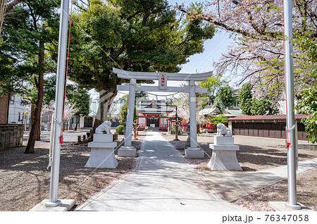 国分寺本町南町八幡神社 国分寺本町南町八幡神社 76347058