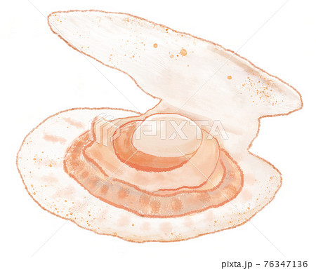 やさしい雰囲気のほたて 76347136