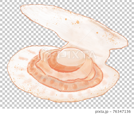 やさしい雰囲気のほたて 76347136