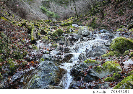 京都大原の律川上流 76347195