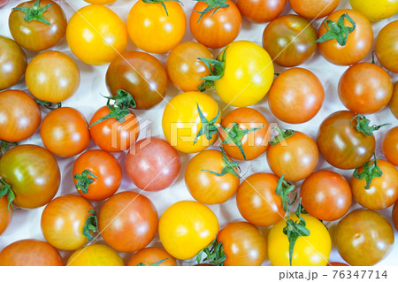 トマト 野菜 ミニトマト 76347714