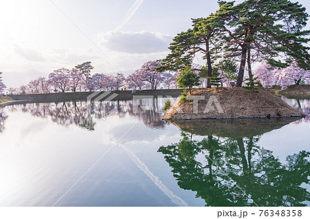 （長野県）六道の堤の桜　午後 76348358