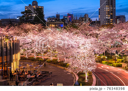 《東京都》東京ミッドタウンの夜桜・春の東京 76348398
