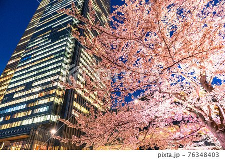 《東京都》東京ミッドタウンの夜桜・春の東京 76348403