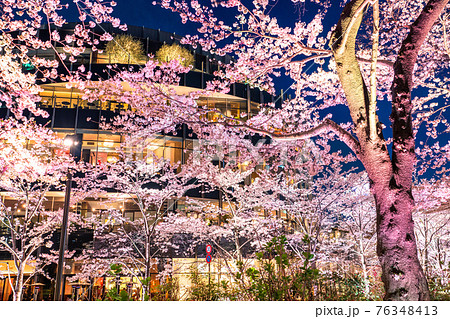 《東京都》東京ミッドタウンの夜桜・春の東京 76348413