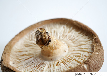 キノコ バスケット かご 76348536