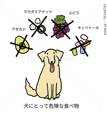 犬にとって危険な食べ物を描いたイラストのイラスト素材