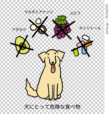 犬にとって危険な食べ物を描いたイラストのイラスト素材