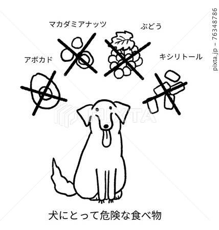 犬にとって危険な食べ物を描いた線画イラストのイラスト素材