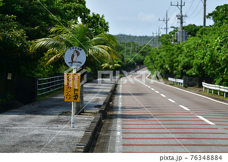 西表島のスピード注意の看板 76348884