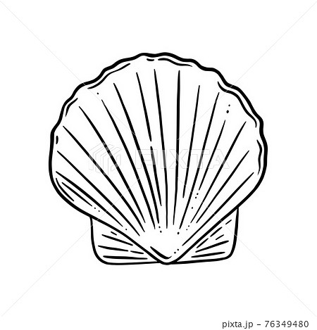 Scallop Shell Logo Seashell With A Pearl Or のイラスト素材