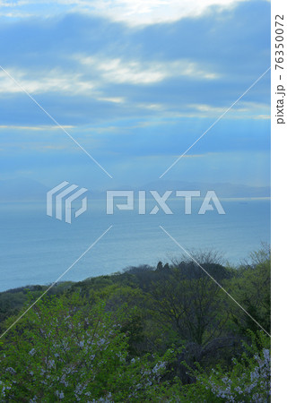 桜の丘から望む海の景色 桜の丘から望む海の景色 76350072