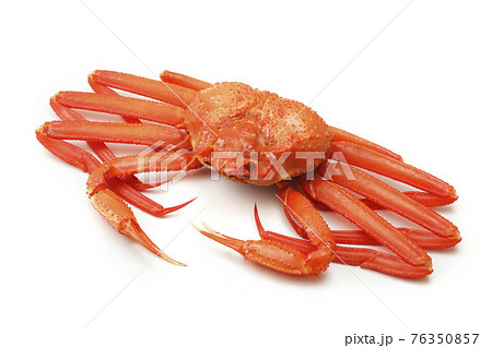 白い背景の上の北海道産紅ずわい蟹 76350857