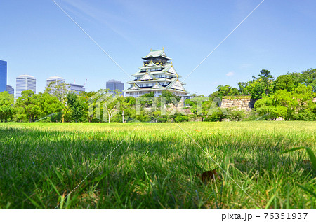 夏の大阪城 西の丸庭園から望む天守閣の写真素材