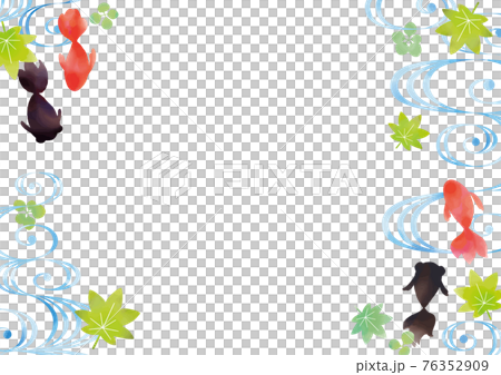 金魚と青紅葉と流水紋のお中元の水彩タッチイラスト 白バック 文字なしのイラスト素材