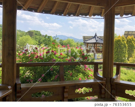 植物 花 スポット 76353655