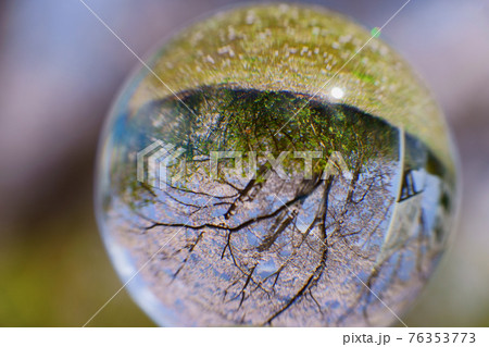 レンズボールの目・美しいソメイヨシノと青空1 76353773