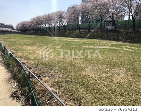 芝生 ゴルフ場 景色 76354313