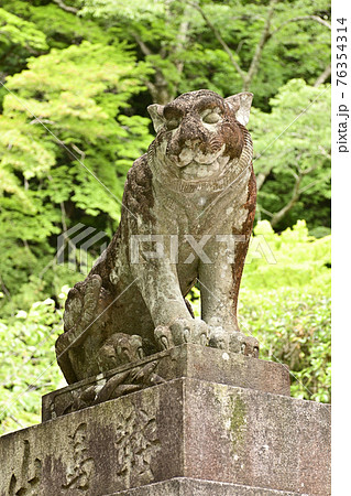 鞍馬寺　仁王門　吽行の狛虎 76354314