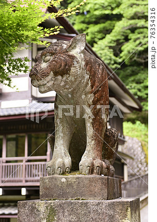 鞍馬寺 仁王門 吽行の狛虎 鞍馬寺 仁王門 吽行の狛虎 76354316