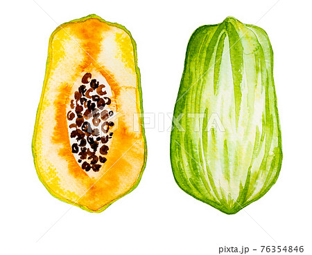 Papaya illustration. Watercolor papaw. Watercolor illustration isolated on white background. Watercolor fruit. Exotic, tropical. 76354846