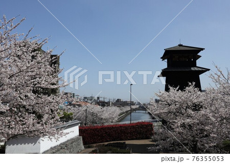 穴場お花見スポット・船堀の新川西水門広場 76355053