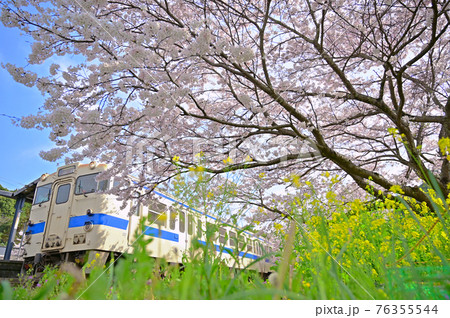 春の日田彦山線4 76355544