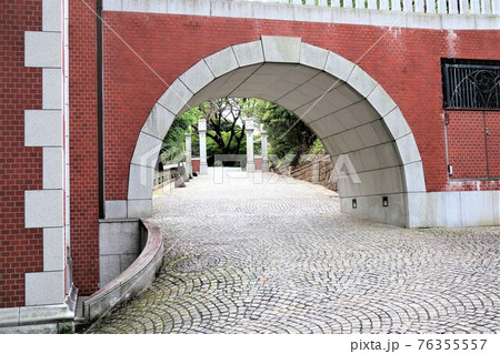 慶應義塾大学 76355557