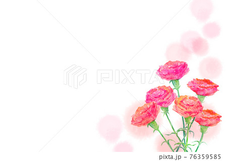 カーネーション 母の日 水彩イラスト カーネーション 母の日 水彩イラスト 76359585