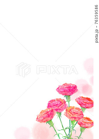 カーネーション　母の日　水彩イラスト 76359586