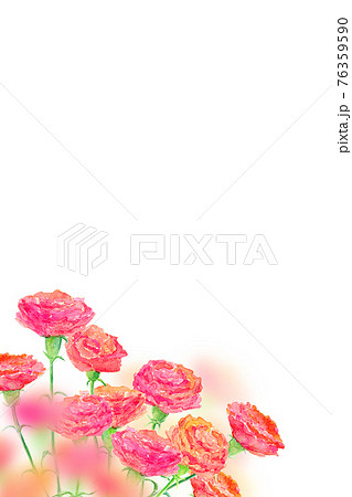 カーネーション　母の日　水彩イラスト 76359590